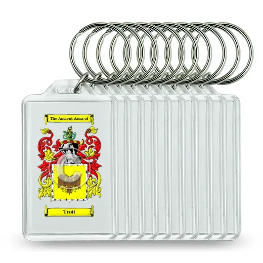 Troit Set of 10 Keychains