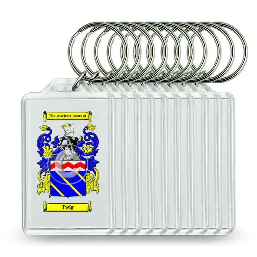 Twig Set of 10 Keychains