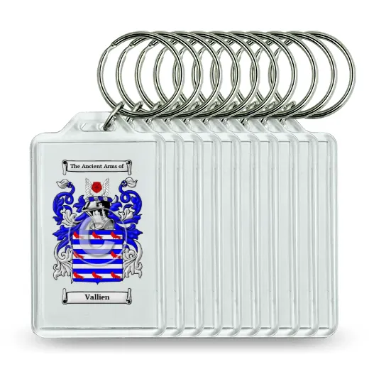 Vallien Set of 10 Keychains