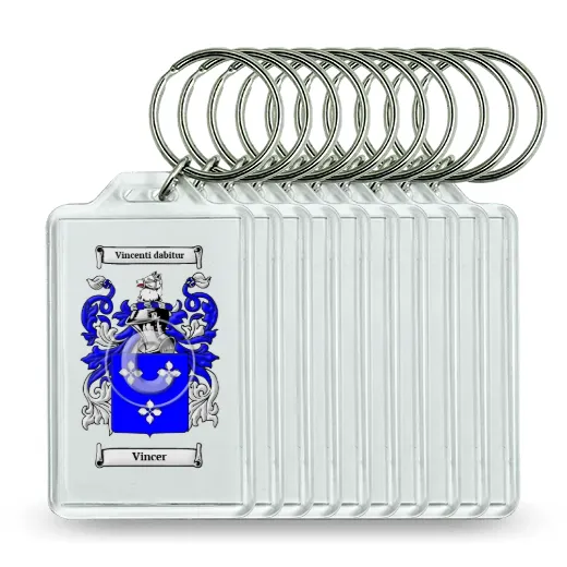 Vincer Set of 10 Keychains