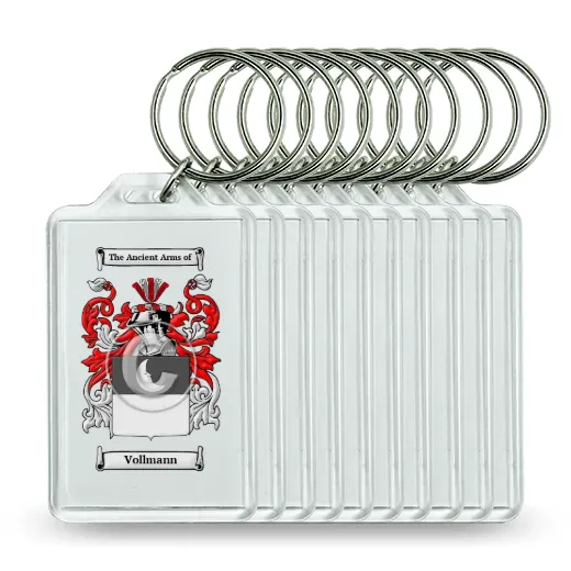 Vollmann Set of 10 Keychains