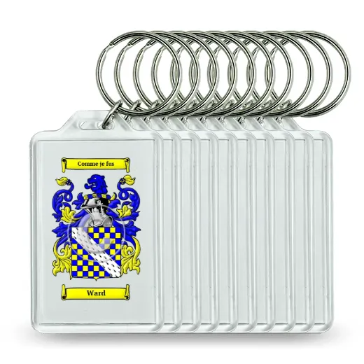 Ward Set of 10 Keychains