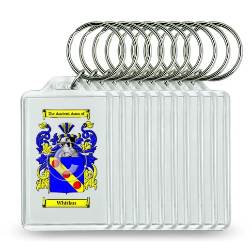 Whitlan Set of 10 Keychains