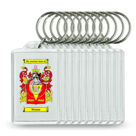 Woone Set of 10 Keychains