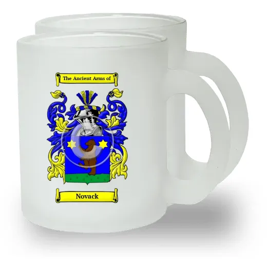 Novack Pair of Frosted Glass Mugs